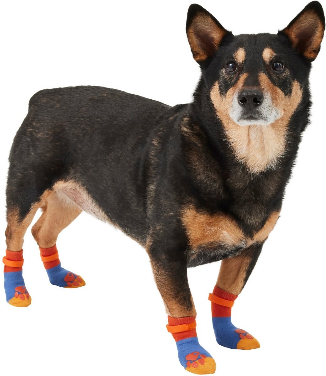 Frisco Non-Skid Colorblock Dog Socks