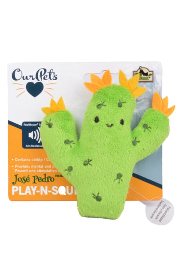 Our Pets Play-N-Squeak Cactus Cat Toy