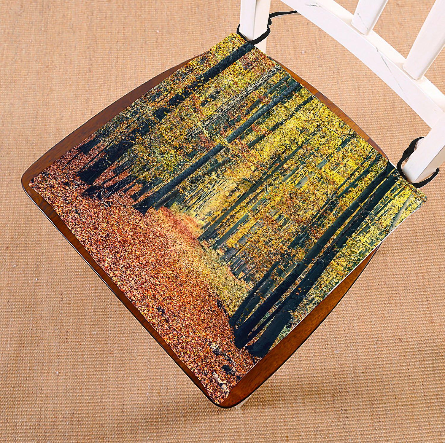 Fall Trees Chair Pad， Landscape Of Autumn Forest Pathway In The Fallen Leaves Seat Cushion Chair Cushion Floor Cushion 50x50 Cm