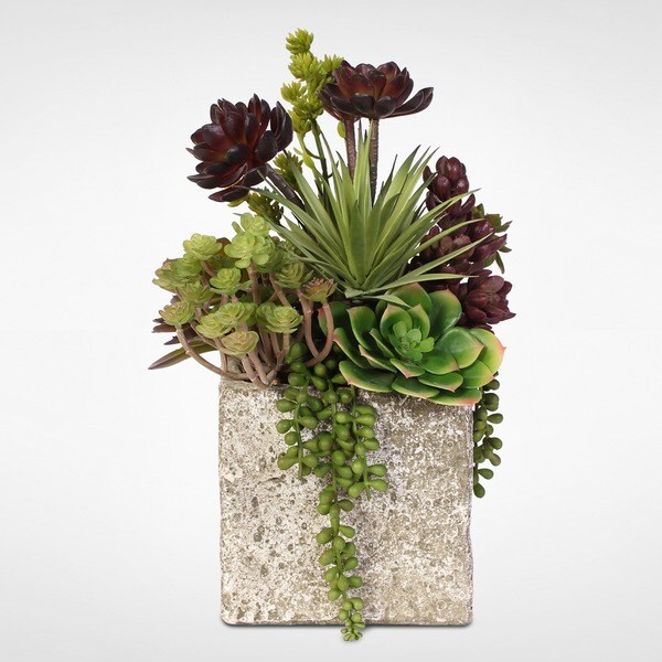 Succulent，Hen，and Chicks Coastal Cottage Arrangement in Stone Pot