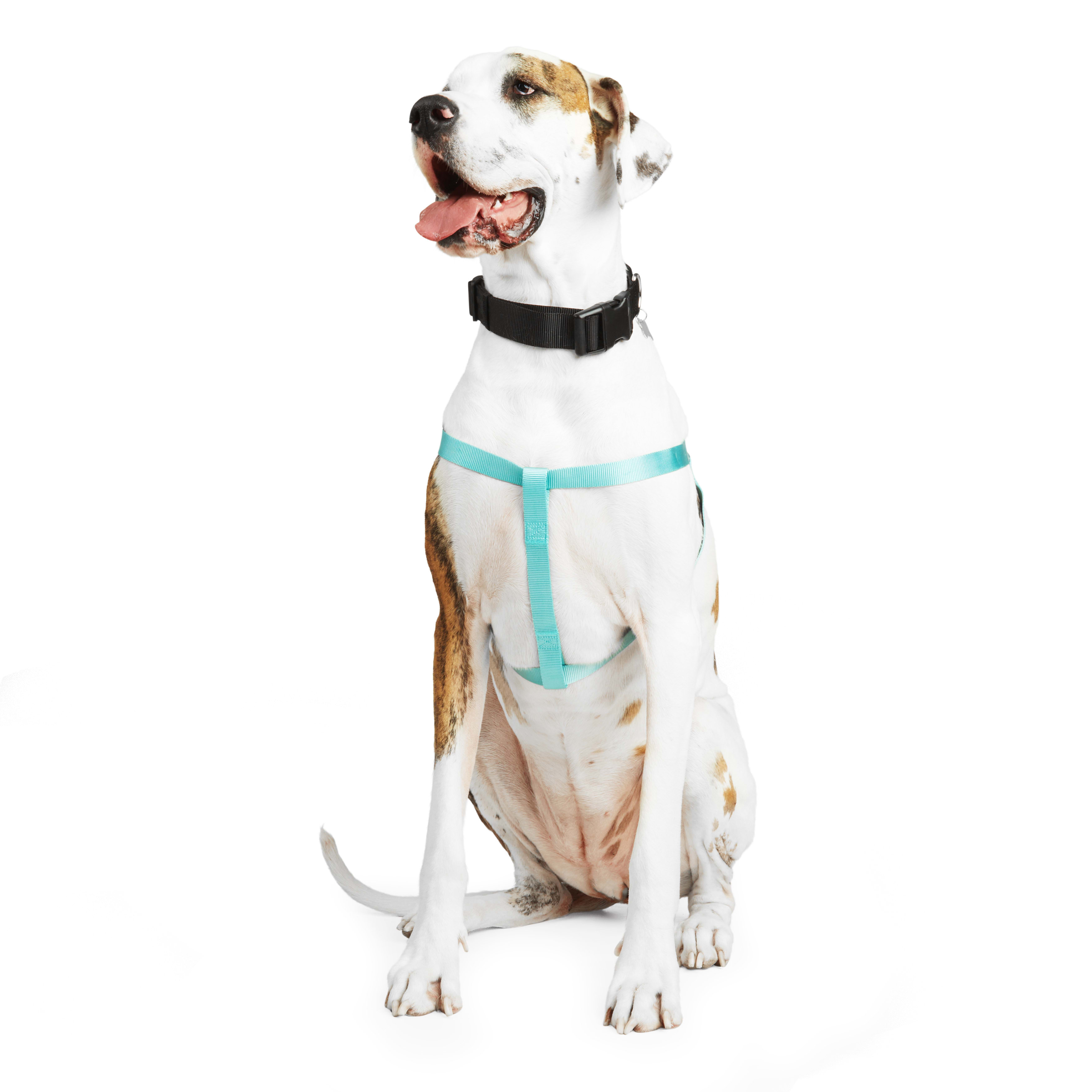 YOULY Turquoise Dog Harness， Large