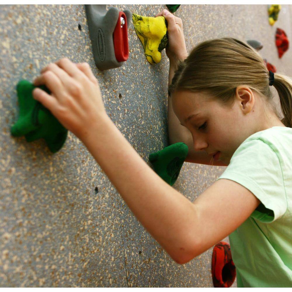 Everlast Climbing DIY Indoor Climbing Wall with Standard Panel DIYSTD