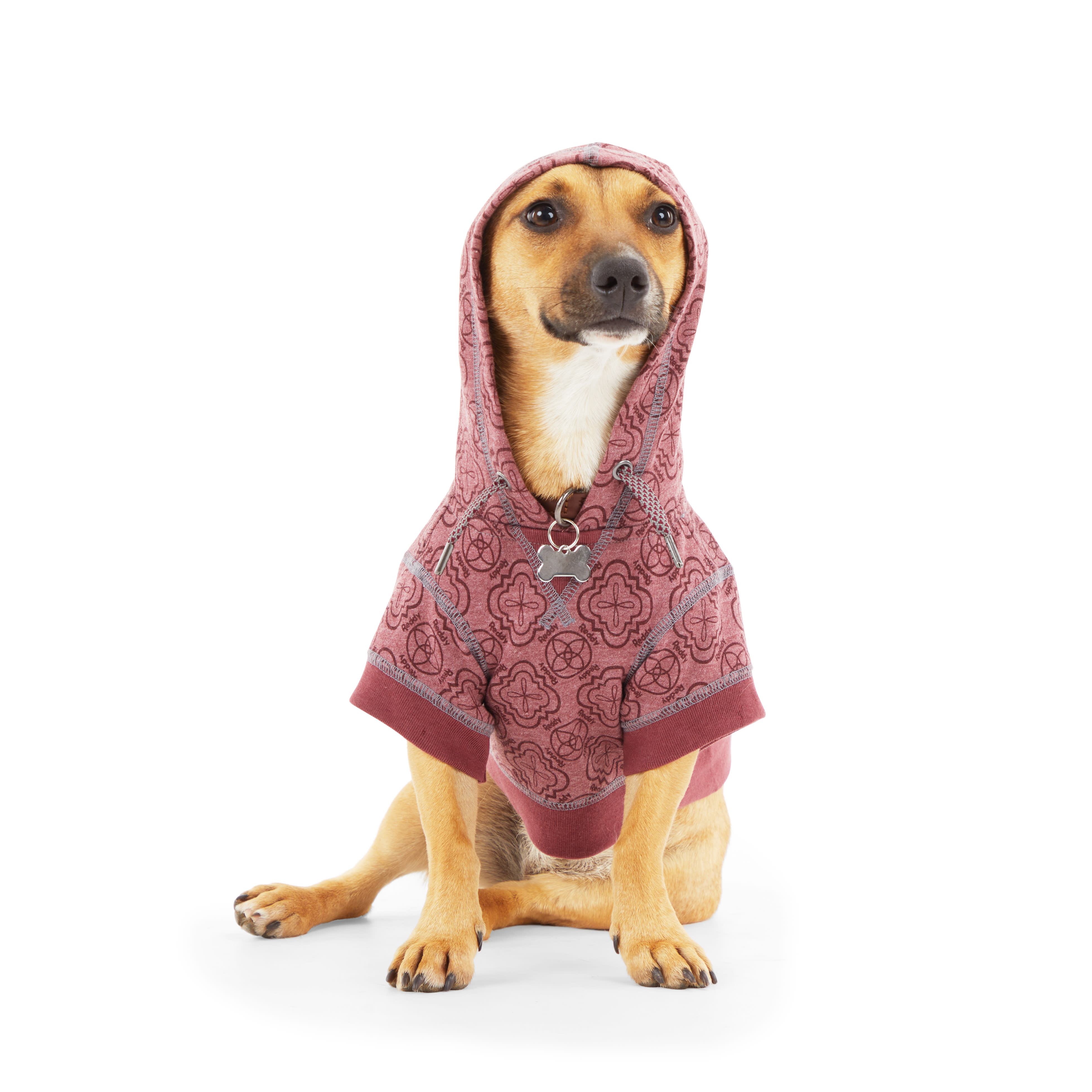 Reddy Pink Dog Hoodie， X-Small