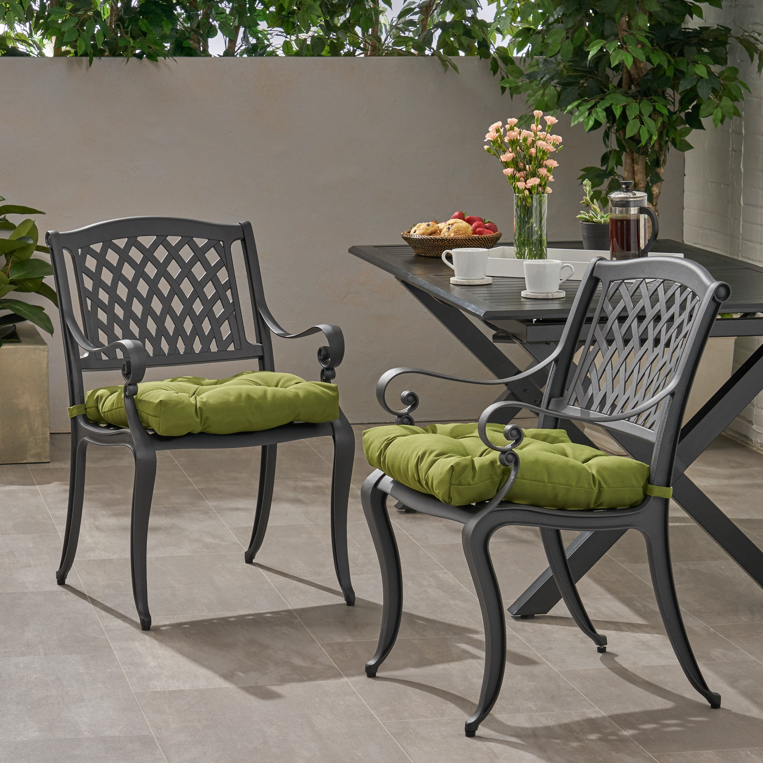 Allee Outdoor Dining Chair with Cushion (Set of 2)