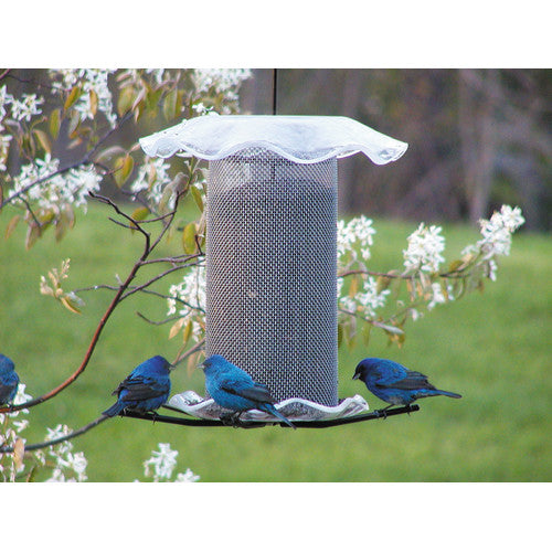 Birds Choice FF206A Nyjer Forever Feeder， Metal Nyjer Feeder Tray w/ Hanging Cable， 3 Quarts， Clear