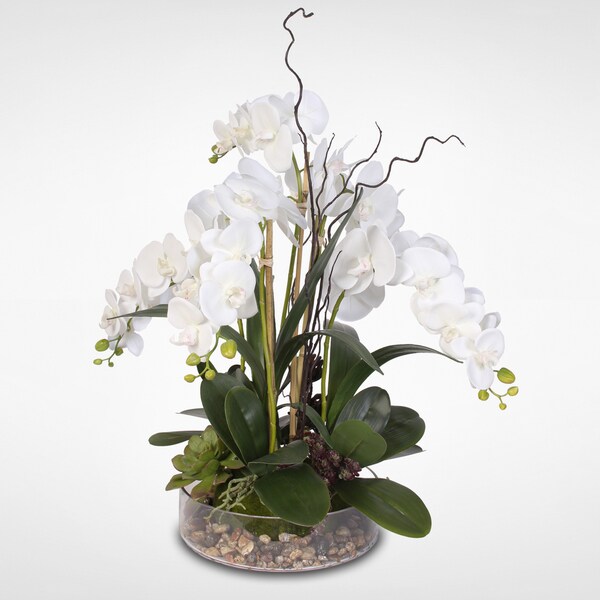 Real Touch Orchid with Succulents