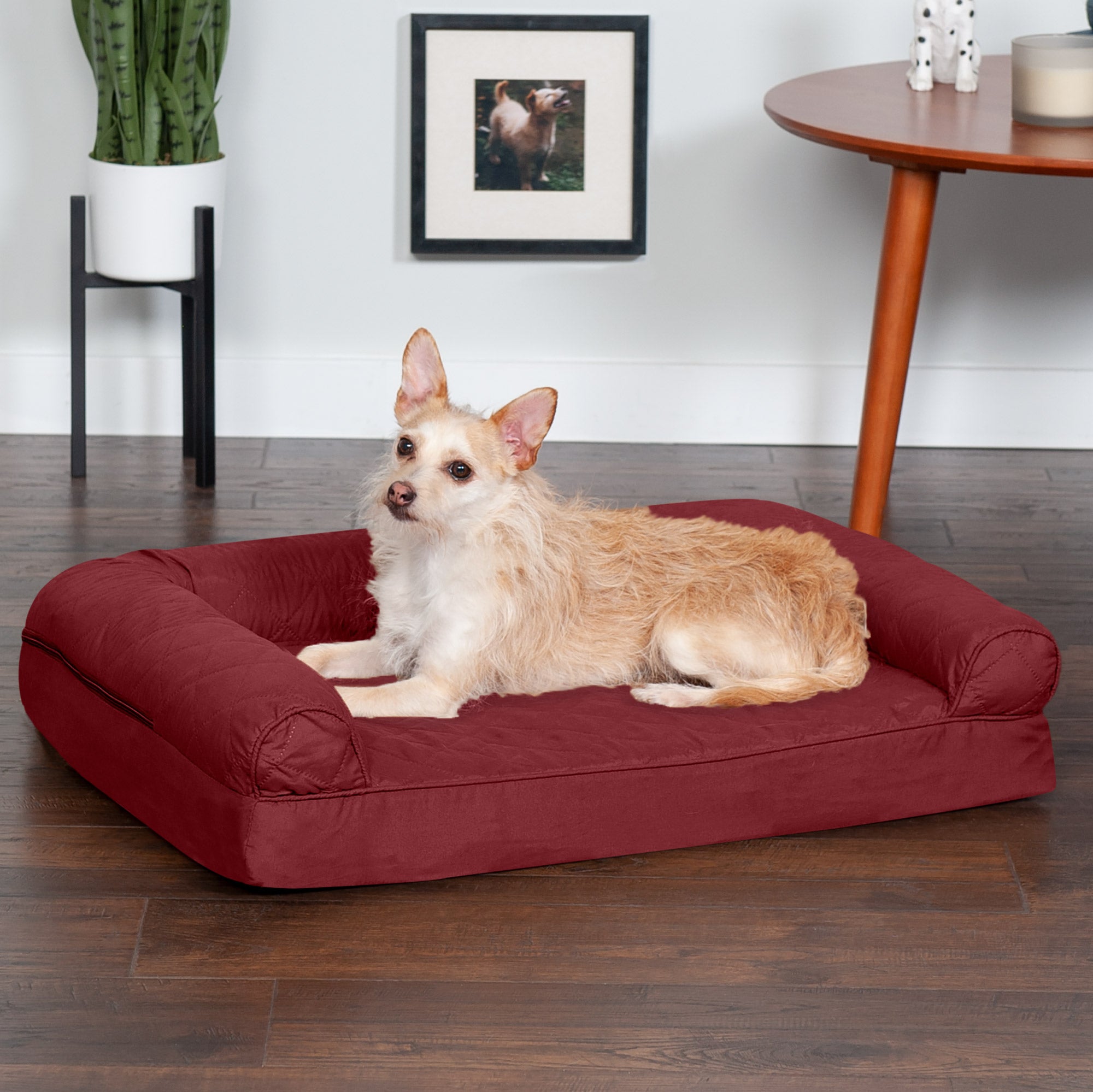 FurHaven | Orthopedic Quilted Sofa Pet Bed for Dogs & Cats, Wine Red, Medium