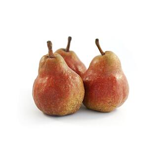 Online Orchards Red Bartlett Pear Tree (Bare-Root 3 ft. to 4 ft. Tall 2-Years Old) FTPR007