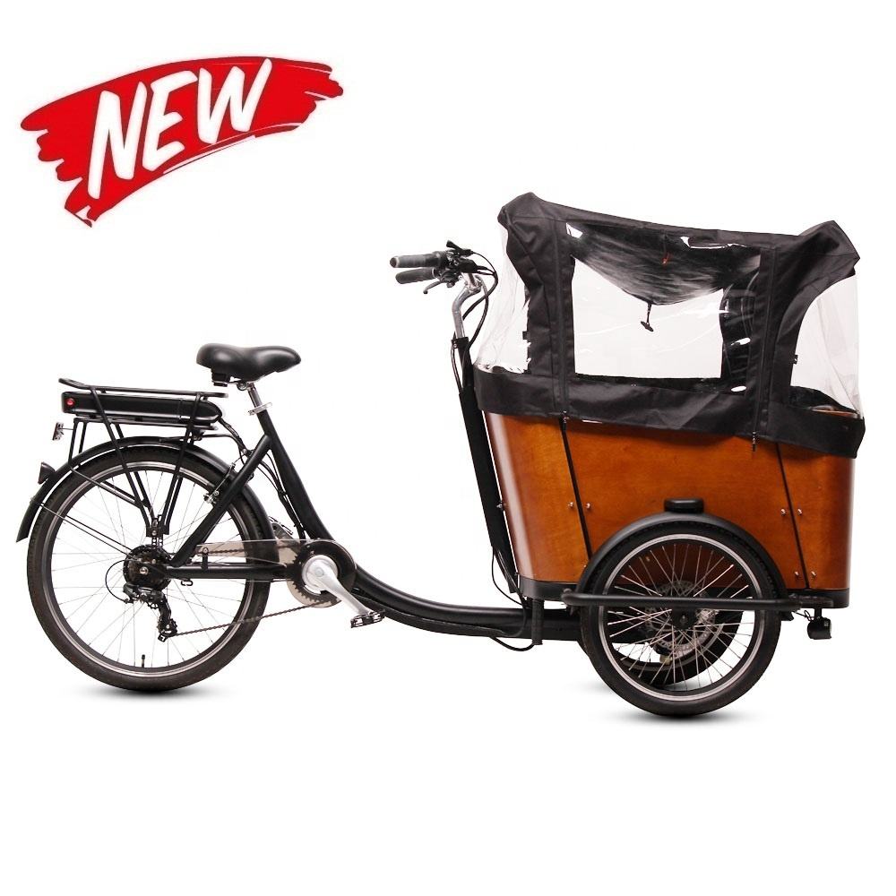 TXED 20 inch 36V/250 rear motor 3 wheel with rain cover cargo 7 speed electric bike