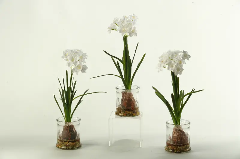 Assorted White Bulb Arrangement In a Glass Jar