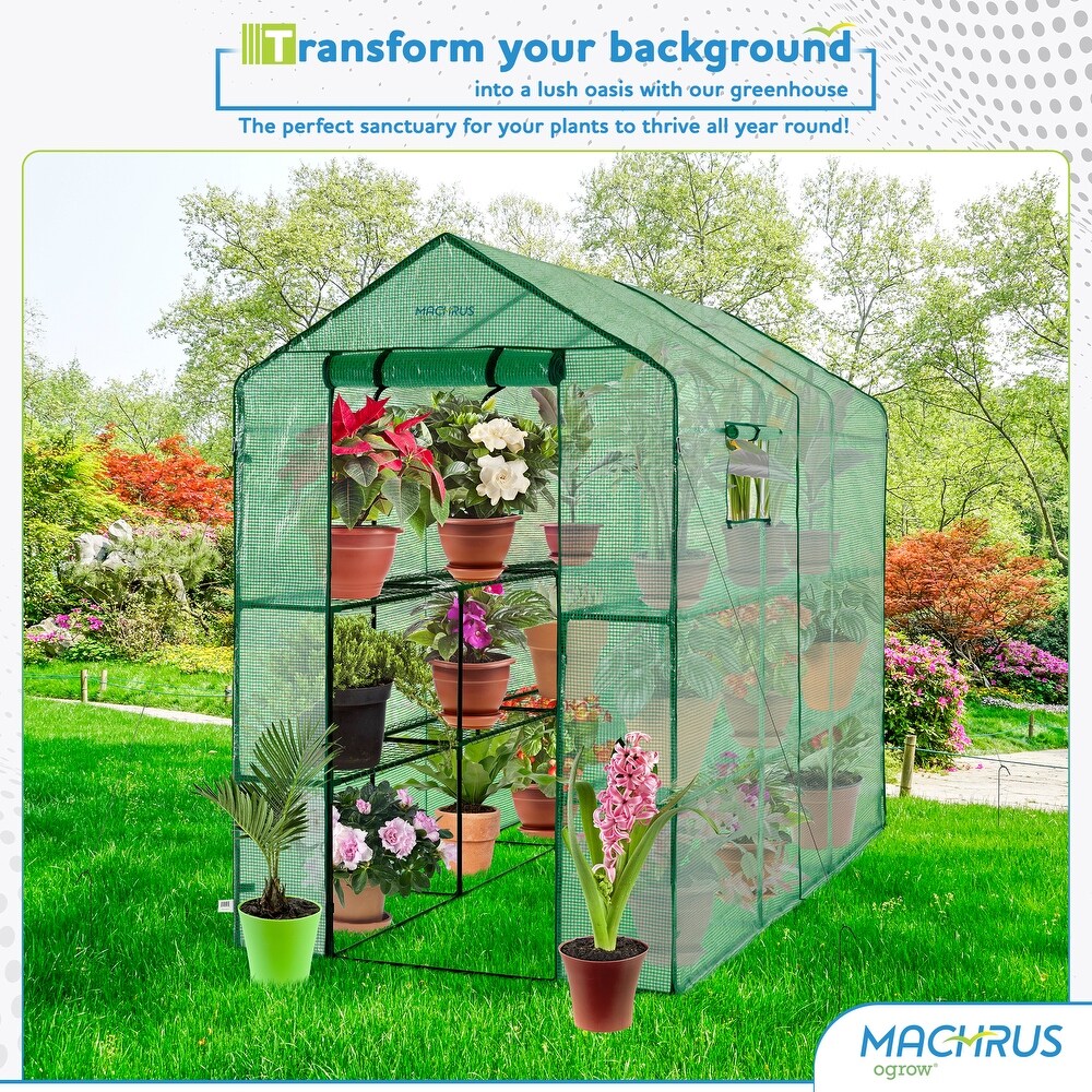 Machrus Ogrow Deluxe Walk In Greenhouse with Green Cover