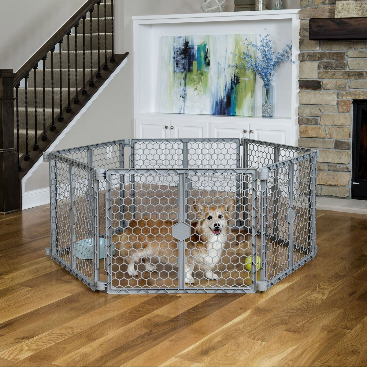 Carlson Pet Products Dog Gate