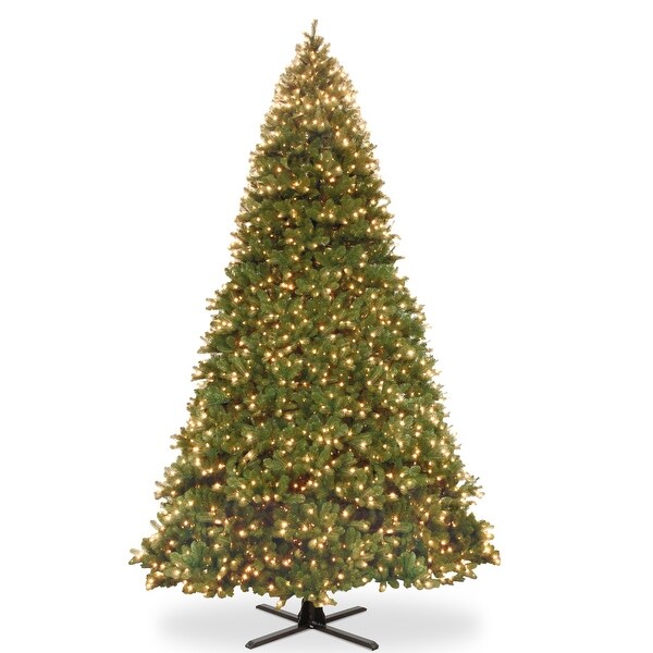 National Tree Company 16 ft. Downswept Douglas Fir Tree with Dual Color® LED Lights