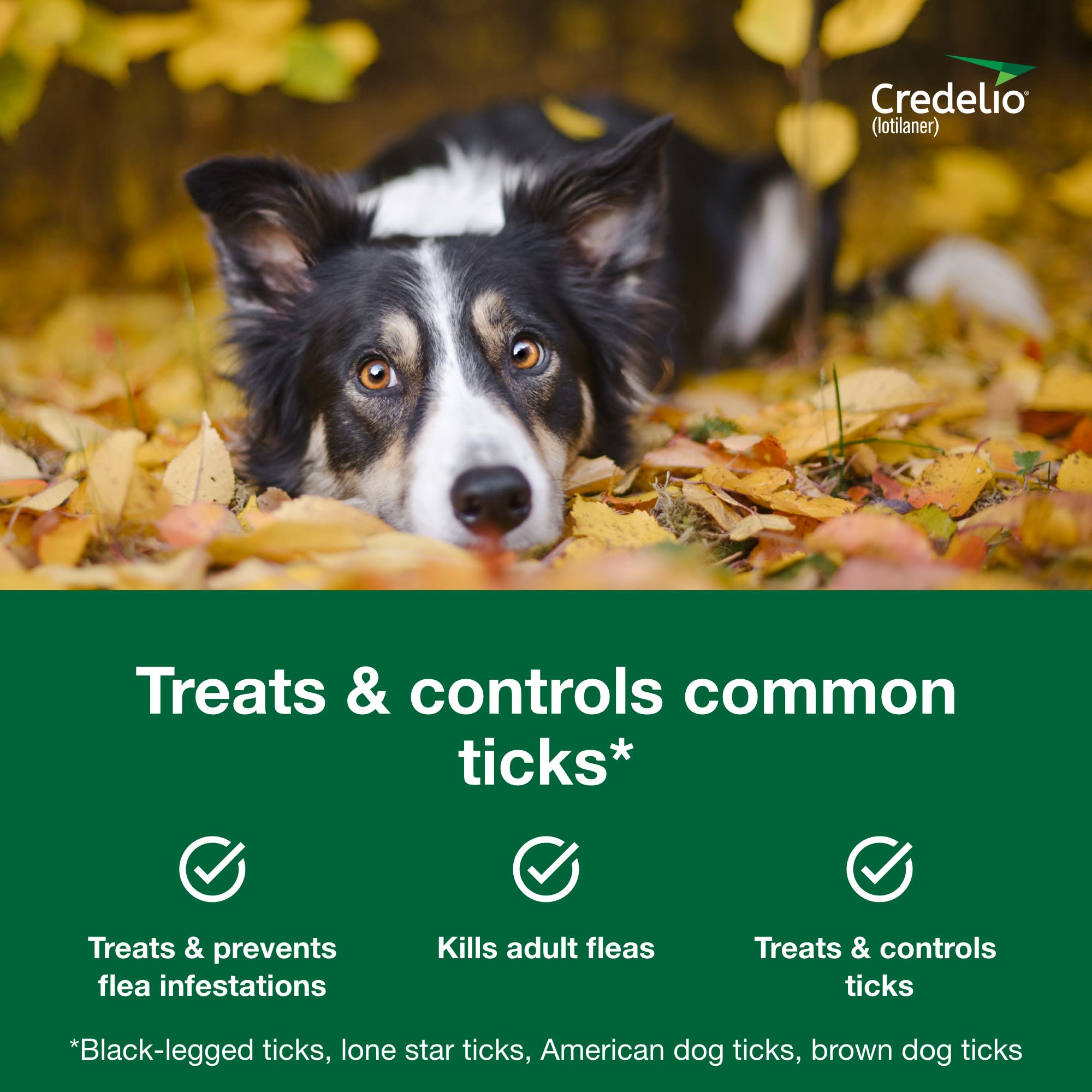 Credelio Chewable Tablets for Dogs 12.1-25 lbs， 1 Month Supply