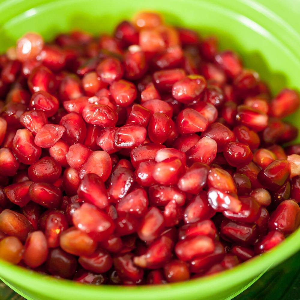 Perfect Plants 1 Gal. Wonderful Pomegranate Tree (2-Pack) THD00204
