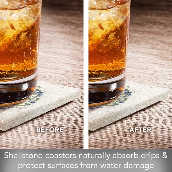 World is A Garden 4 Pack Natural Shell Stone Absorbent Coasters with Protective Cork Backing Manufactured in The USA