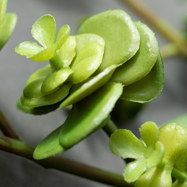 Sullivans Artificial Sedum Succulent Stem 13 quot h Green