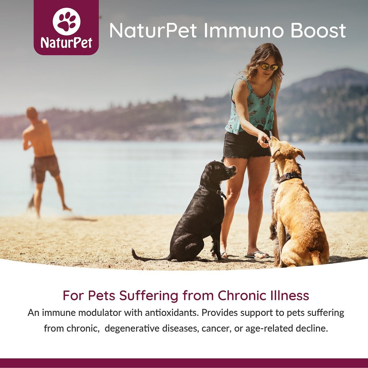 NaturPet Immuno Boost Pet Supplement