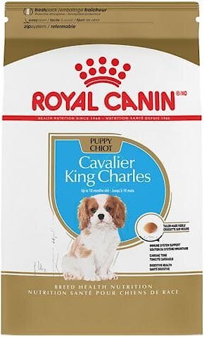 Royal Canin Breed Health Nutrition Cavalier King Charles Puppy Dry Dog Food