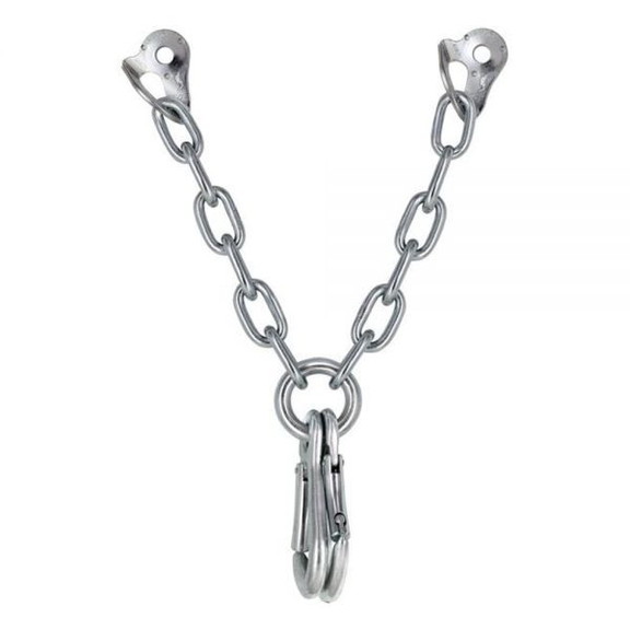 FIXE V Anchor With 2 Draco Key Lock Carabiners