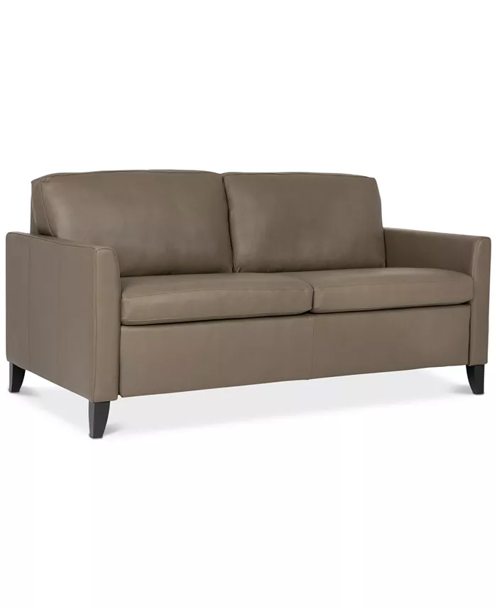 Furniture Priley 70 Leather Queen Sleeper Sofa