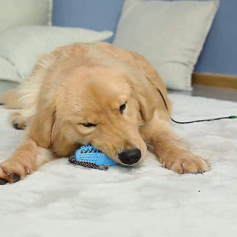 Toothbrush Stick Ball Treat Dispenser For Dogs Puppies Dental Care