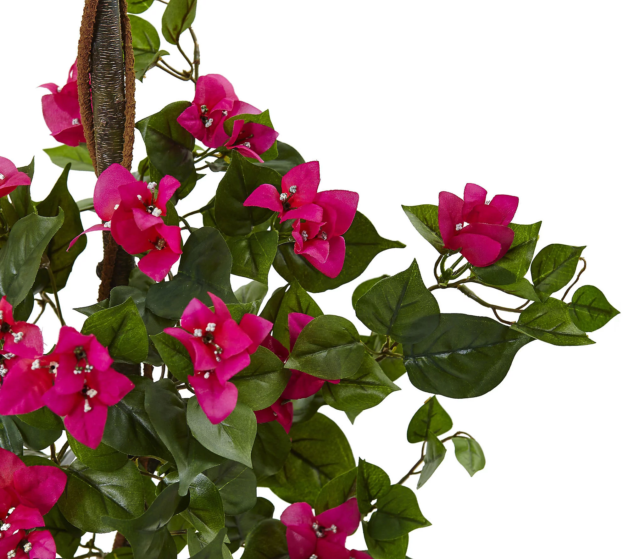 5.5' Bougainvillea Tree in Barrel Planter by Nearly Natural