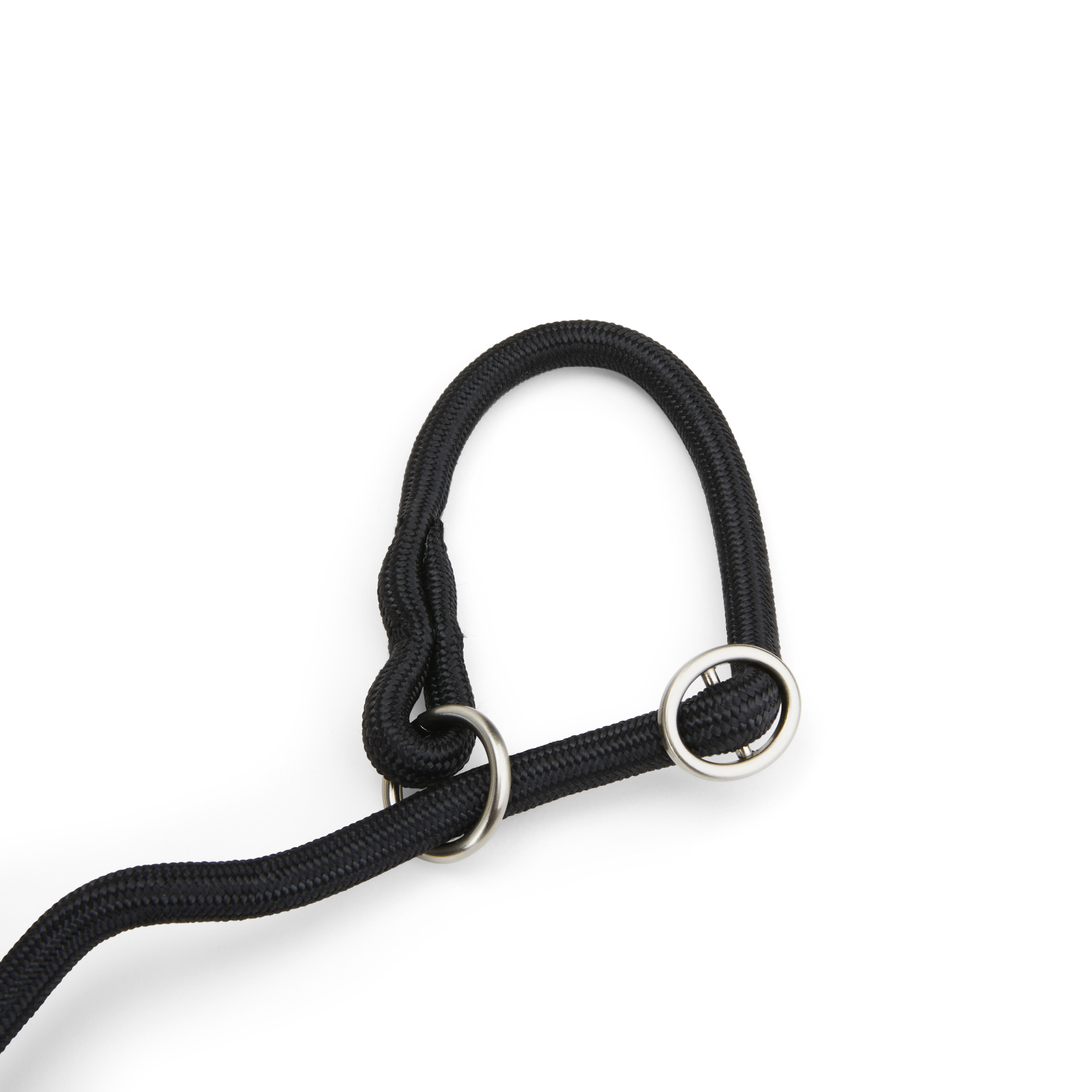 EveryYay Settin the Pace Black Training Rope Slip Lead for Dogs， 6 ft.