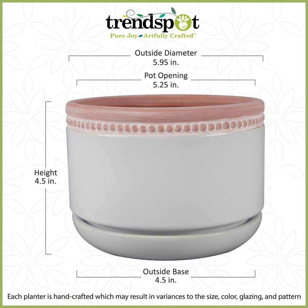 Trendspot 6 in. Ada White Ceramic Planter ECR00724S-060W2