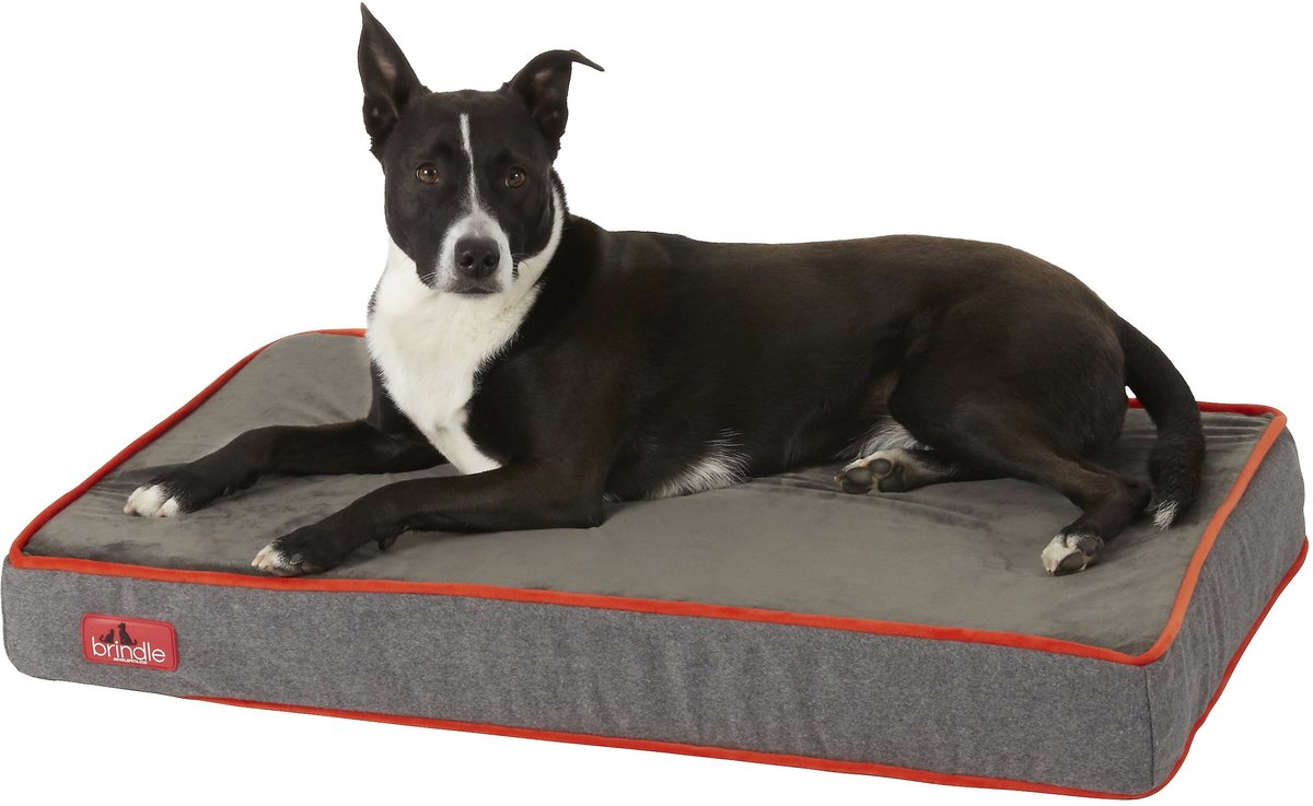 Brindle Waterproof Orthopedic Pillow Cat and Dog Bed w/Removable Cover