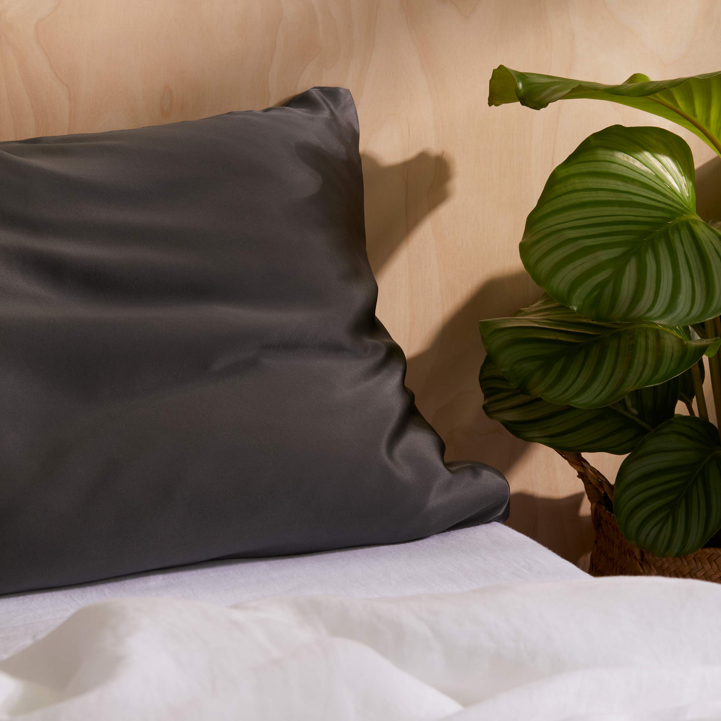 Mulberry Silk Pillowcase - Last Call