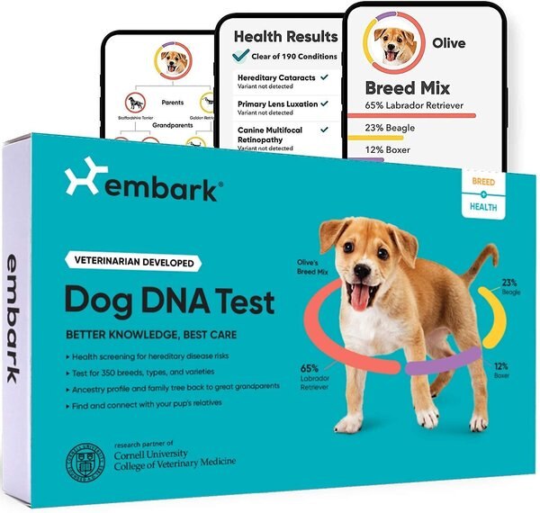 Embark Breed Identification and Health Condition Identification DNA Test for Dogs