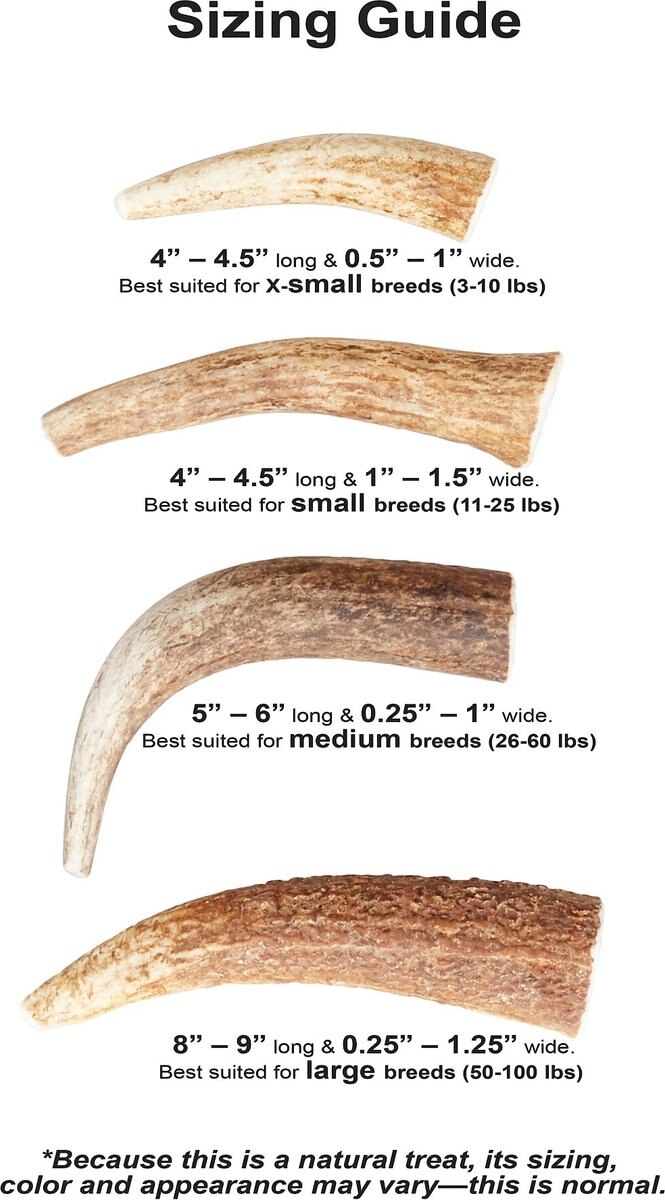 Health Extension 4-in Whole Elk Antler， Medium