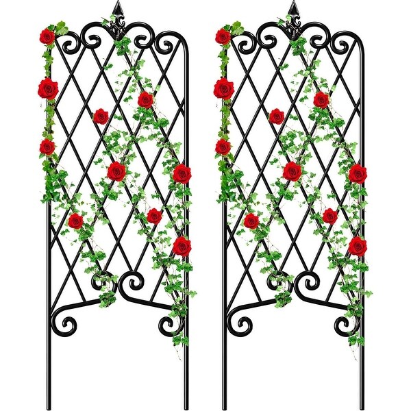 2 Pack Garden Trellis Iron Plant Support Climbing Vines