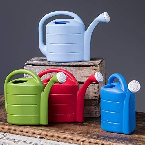 Novelty 30402 2 Gallon Deluxe Watering Can， Sky Blue