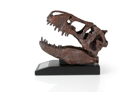 The Nation's T Rex Skull Statue  6 Inch Smithsonia...