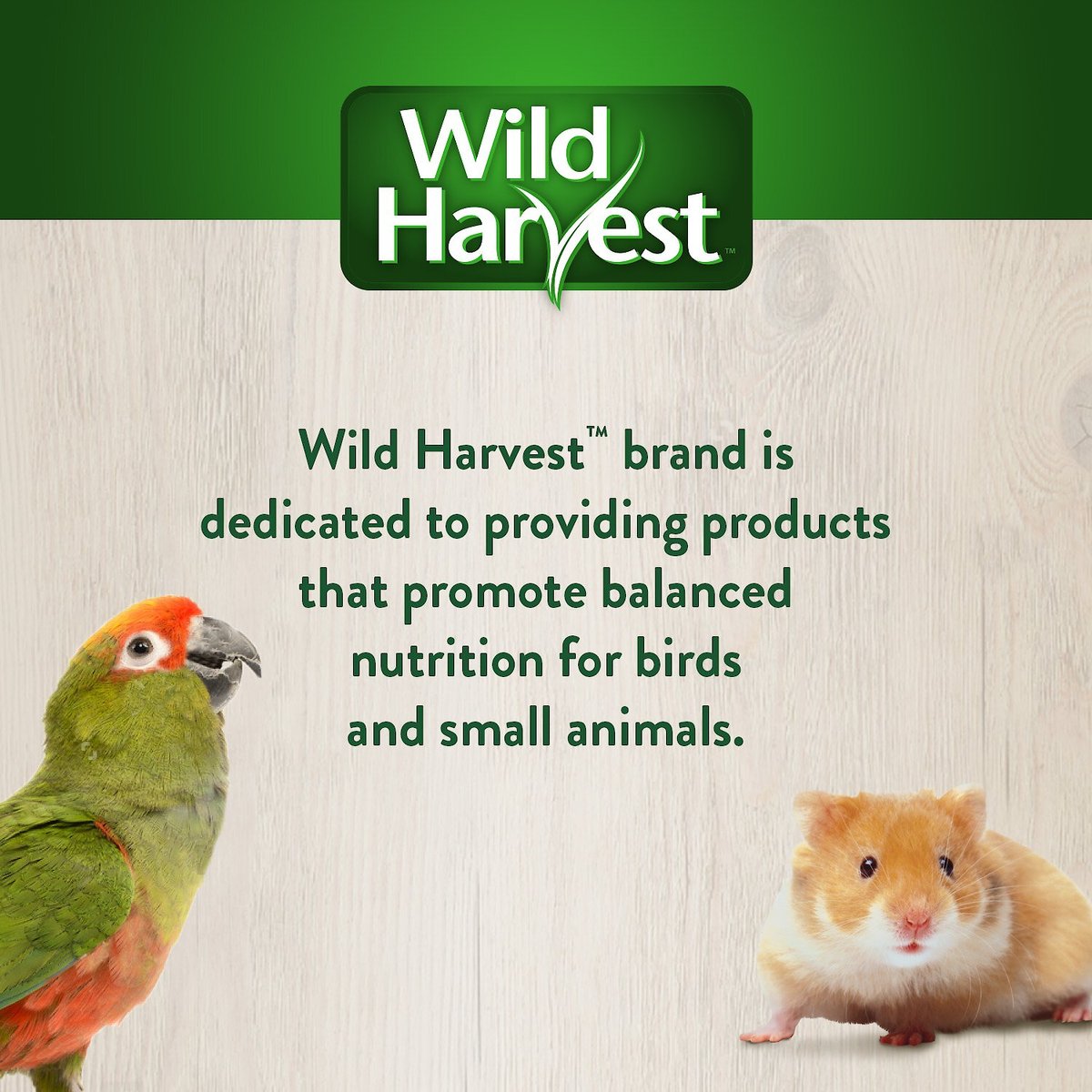 Wild Harvest Advanced Nutrition Seed， Grain and Vegetable Mix Parrot Food， 8-lb bag