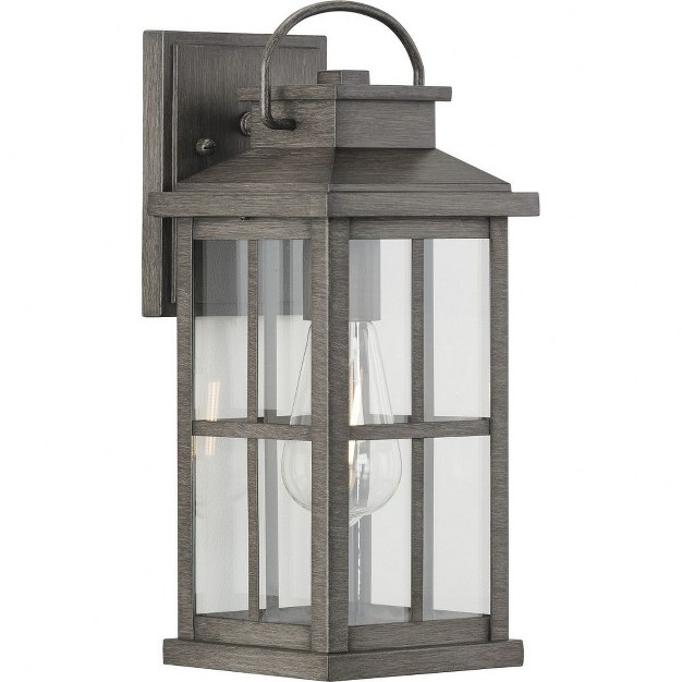 Progress Lighting Williamston 1 light Antique Pewter Outdoor Wall Lantern With Clear Glass