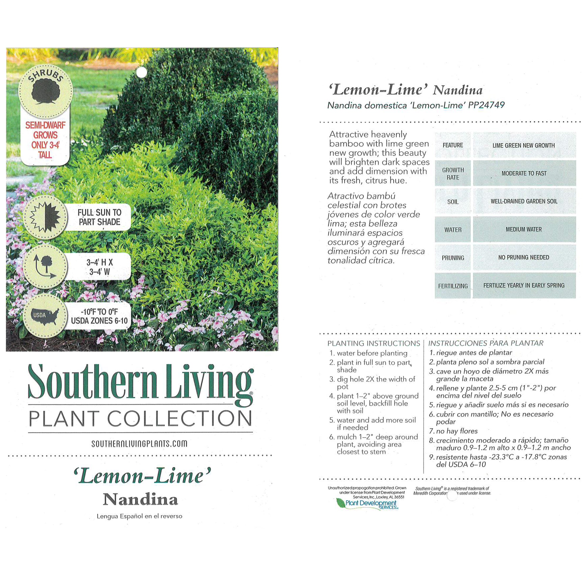 Southern Living Plant Collection Nandina Lemon Lime Live Shrub (2 Gallon)