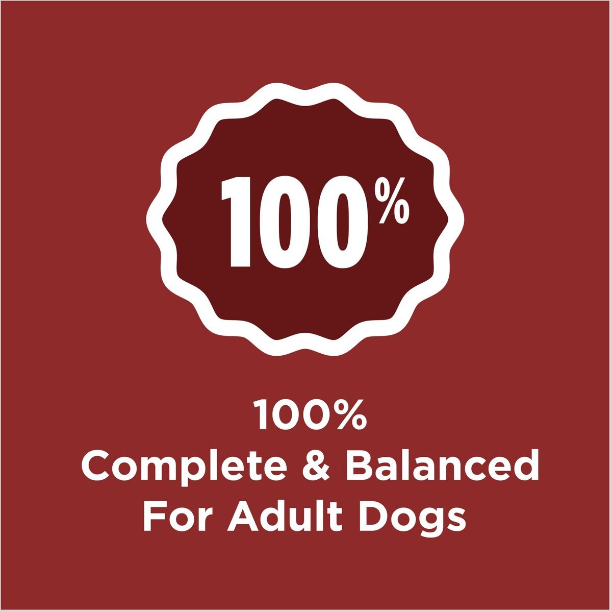 Dog Chow Complete Adult with Real Beef Dry Dog Food