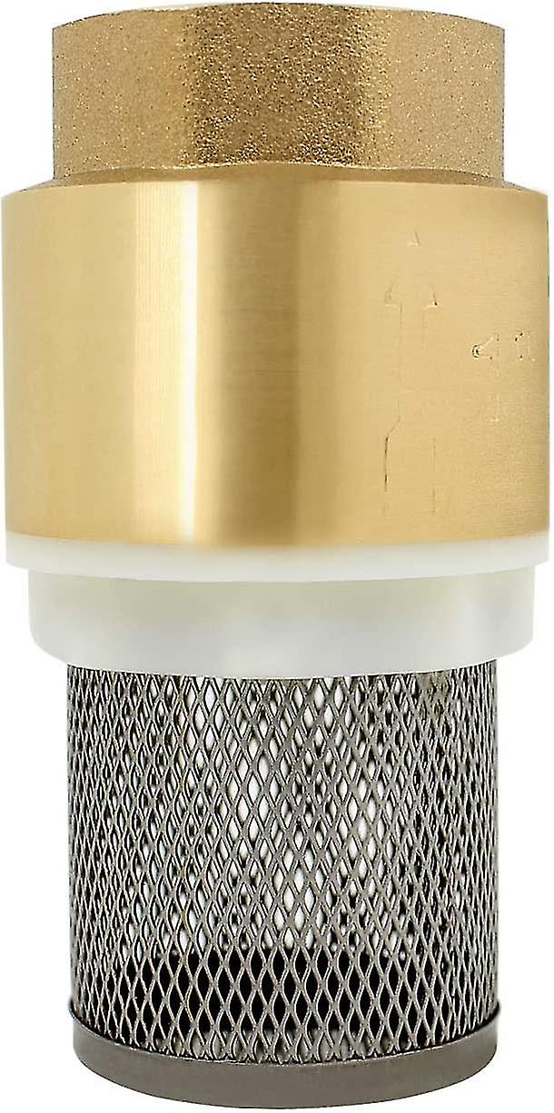 Check Valve Strainer 1/23/412 Inch - Check Valve Check Valve Pump (2 Inch)