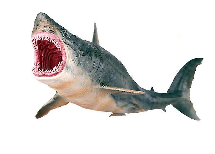 Megalodon prehistoric shark model figure toy