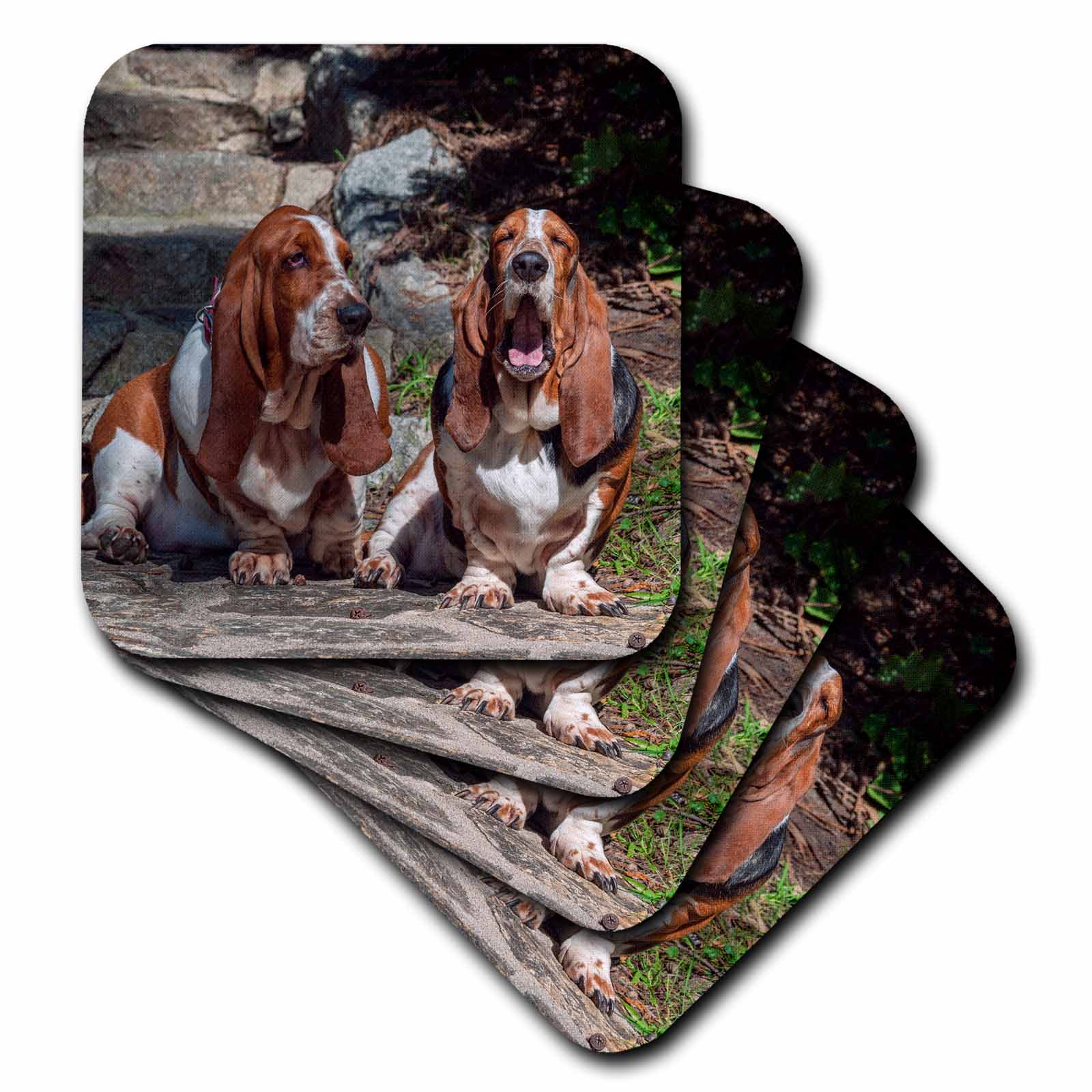 3dRose Two Basset Hounds sitting together - Soft Coasters， set of 4