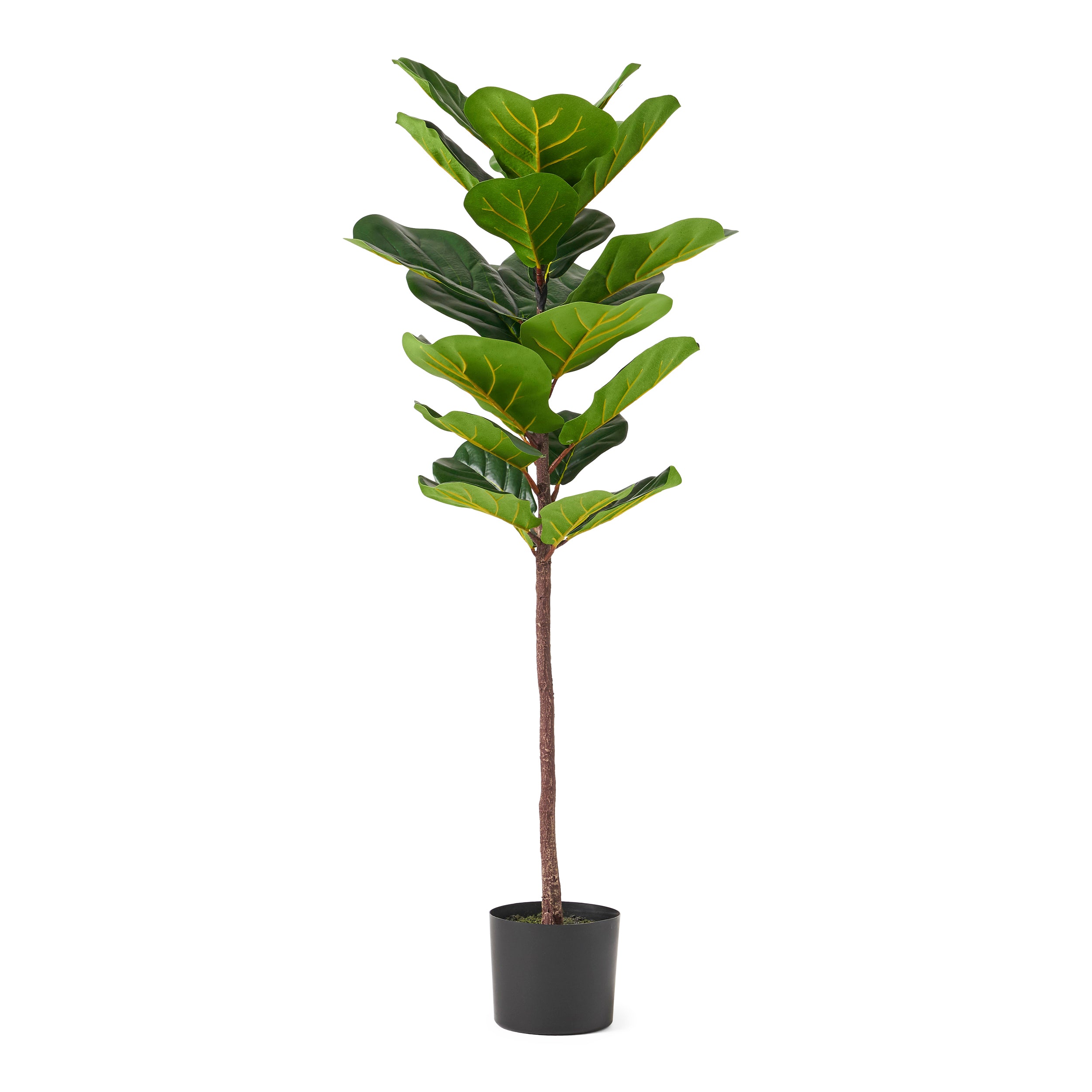 Stilwell Artificial Fiddle-Leaf Fig Tree