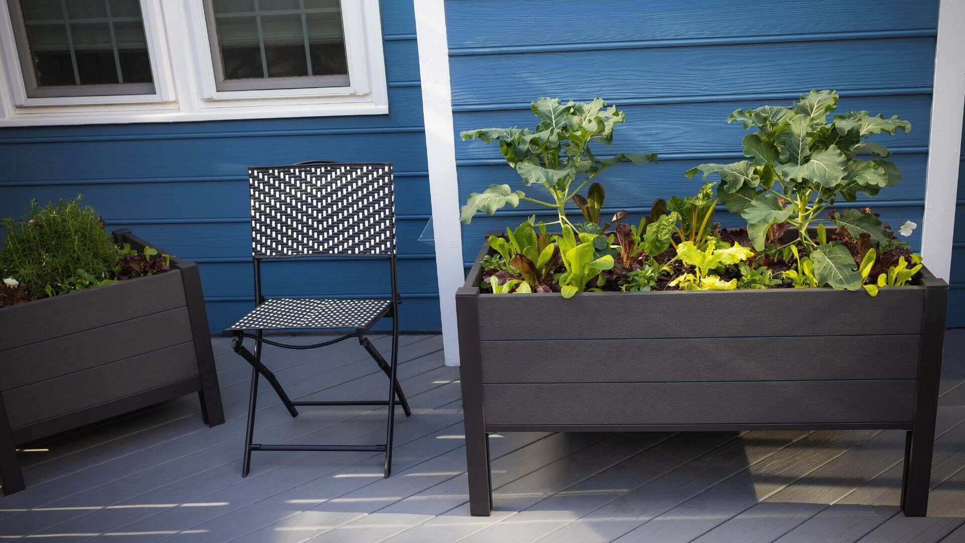 The Skyline Planter (24” x 48” x 25”) Elevated Garden Bed