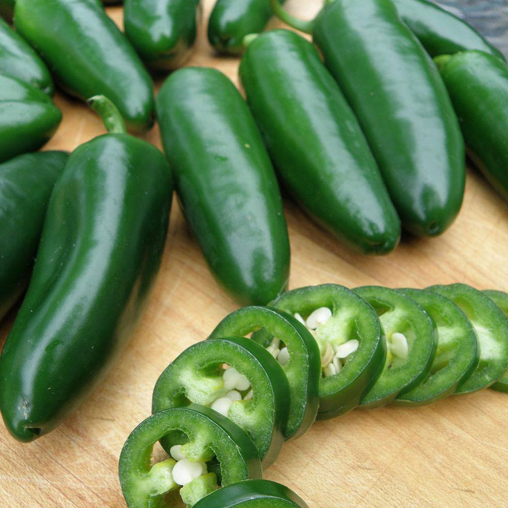 Bonnie Plants 19 oz. Mammoth Jalapeno Pepper Plant 2502
