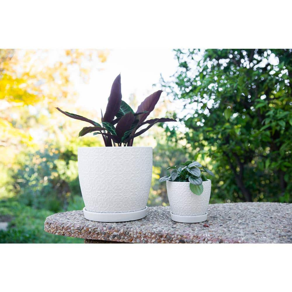 Vigoro 10 in. Chrysanthemum Medium White Textured Ceramic Pot (10 in. D x 9.3 in. H) with Attached Saucer CT1499-MTWH