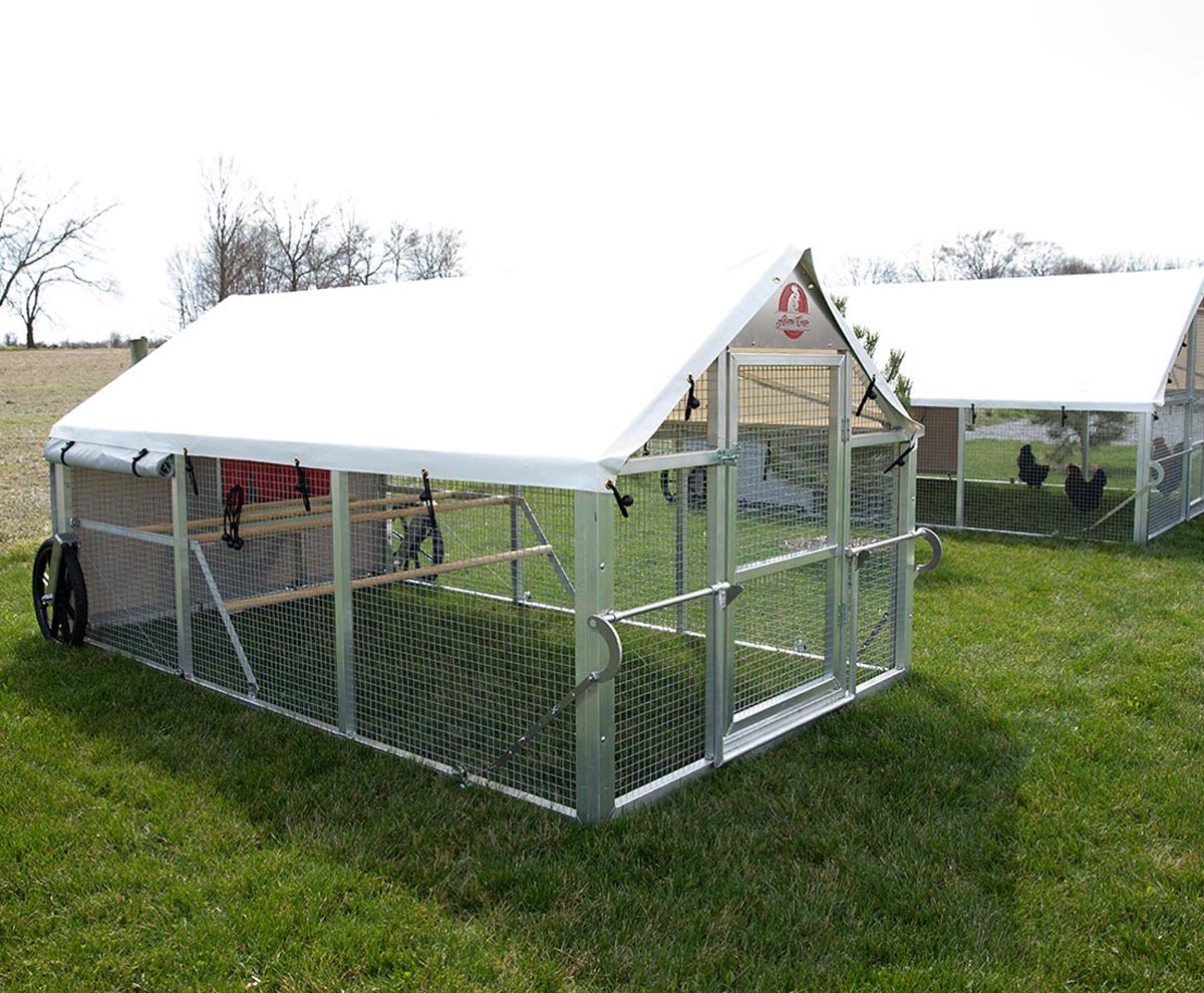 🎉Only $39🎉 Stainless Steel Feeding Cage🐔🦆