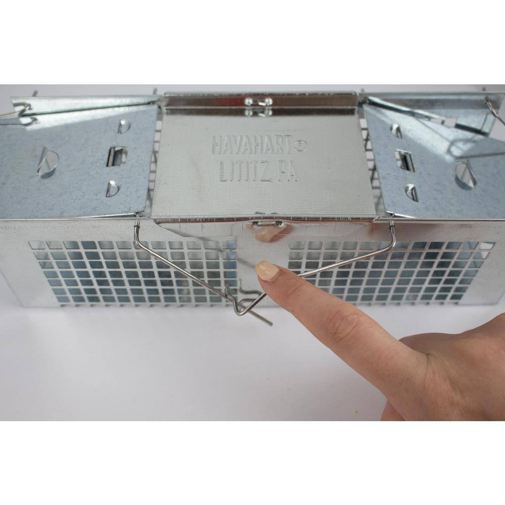 Havahart X-Small 2-Door Professional Live Animal Cage Trap for Mice Rat and Vole 1020