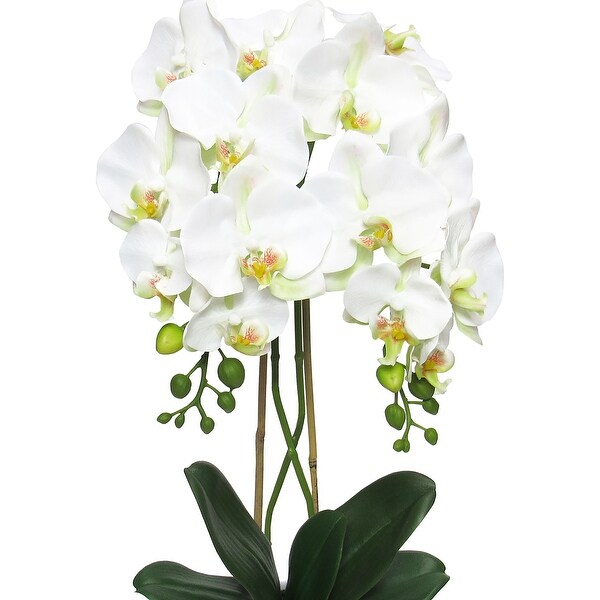 Cream White Artificial Phalaenopsis Orchid Flower Arrangement in White Modern Ceramic Pot 25in